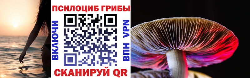 Псилоцибиновые грибы GOLDEN TEACHER  mega онион  Южно-Сахалинск  что такое наркотик 